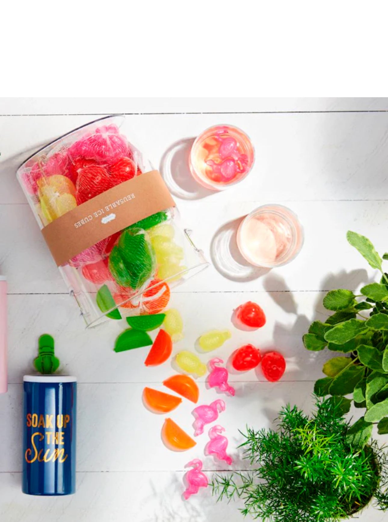 Reusable Ice Cubes