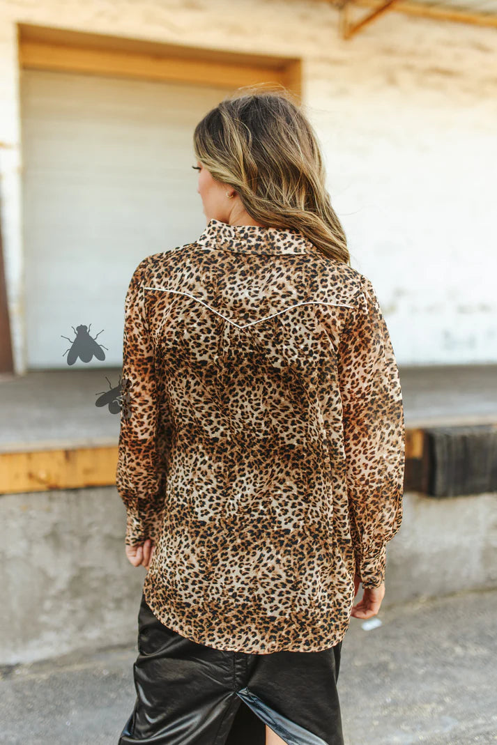 Western Wild Leopard