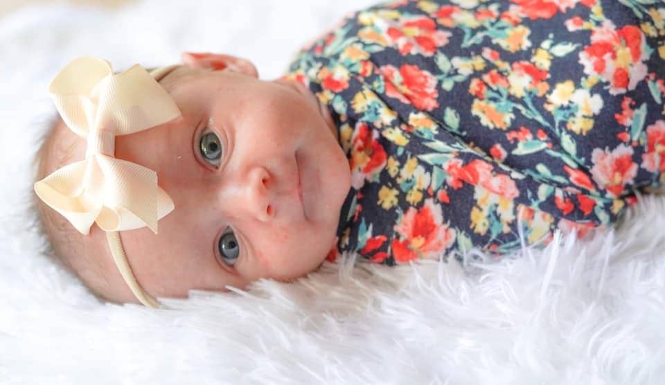 Solid Grosgrain Bow on Nylon Headband: Black / 4 inch