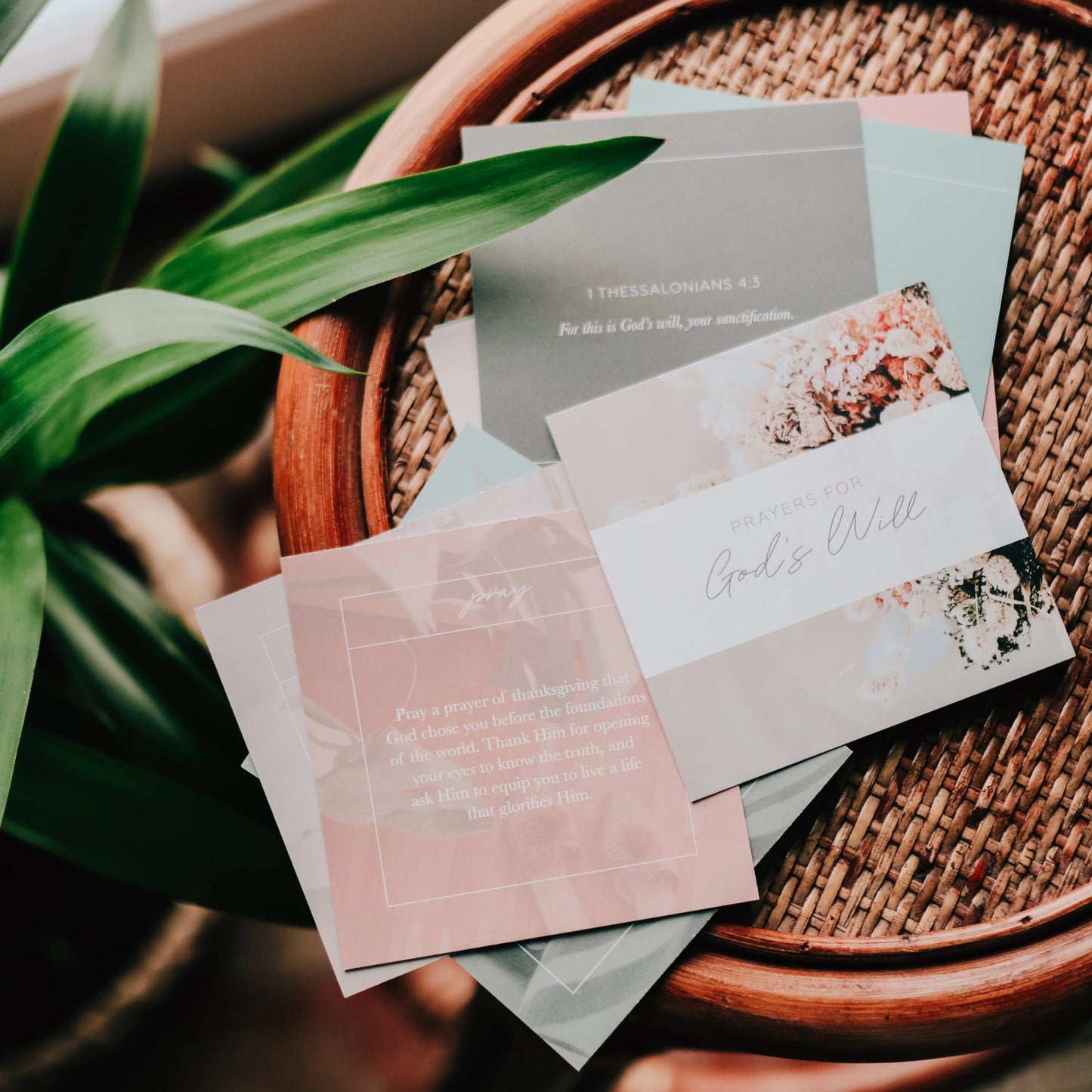 The Daily Grace Co Prayers For God's Will Verse Card Set
