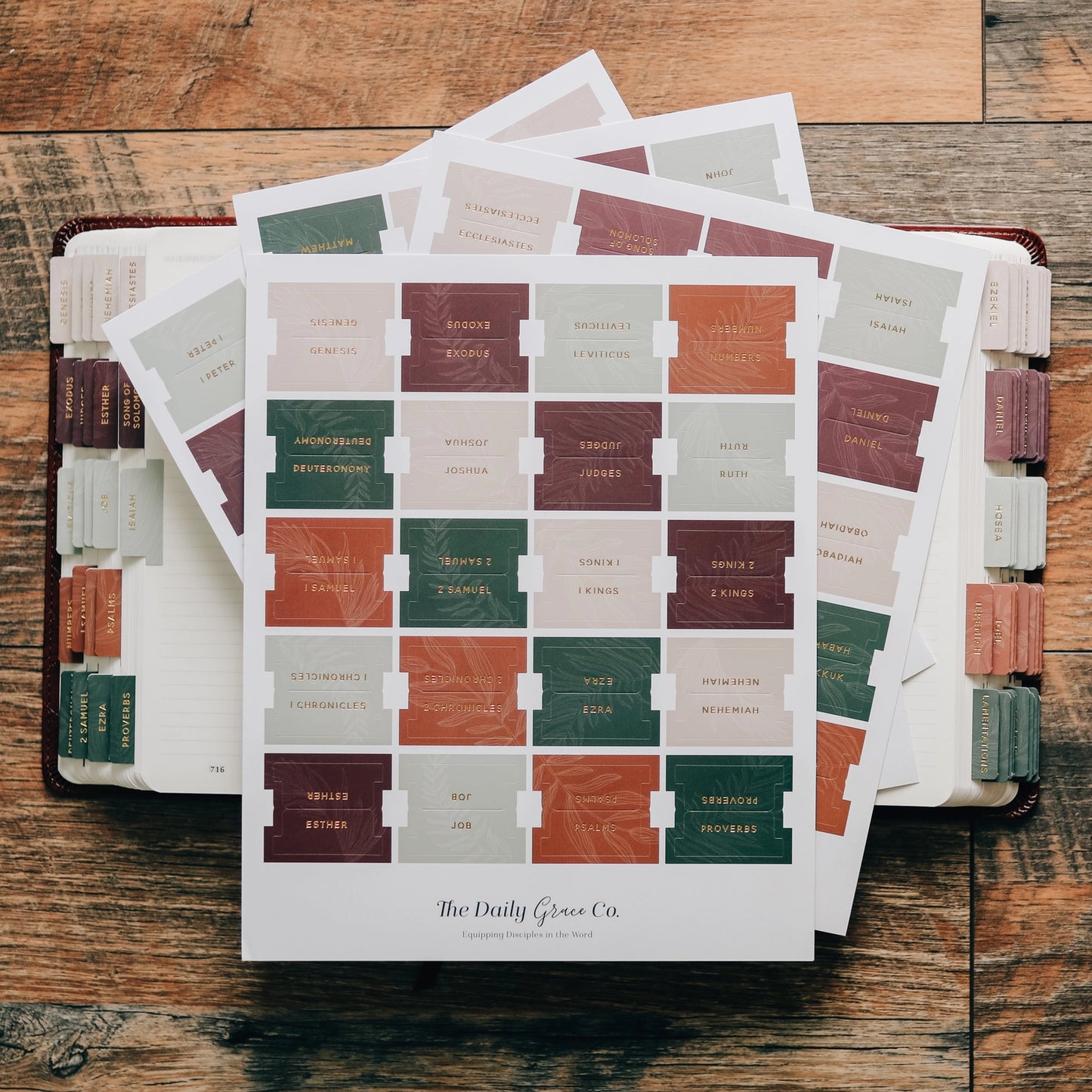 The Daily Grace Co Jewel Tone Bible Tabs