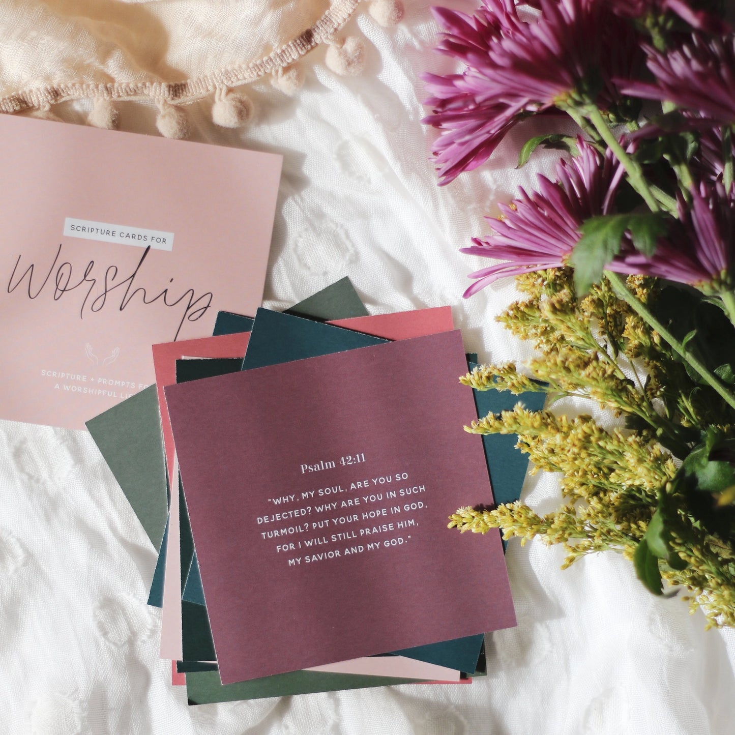 The Daily Grace Co Scripture Cards For Worship Verse Card Set