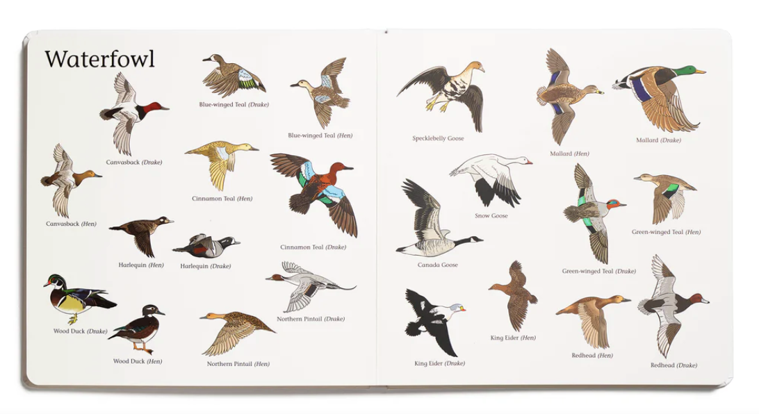 The Big Book of Hunting