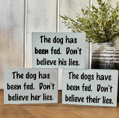 Don't Believe the lies Sign