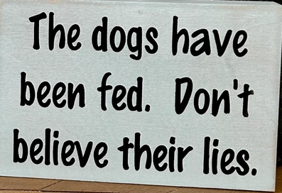 Don't Believe the lies Sign