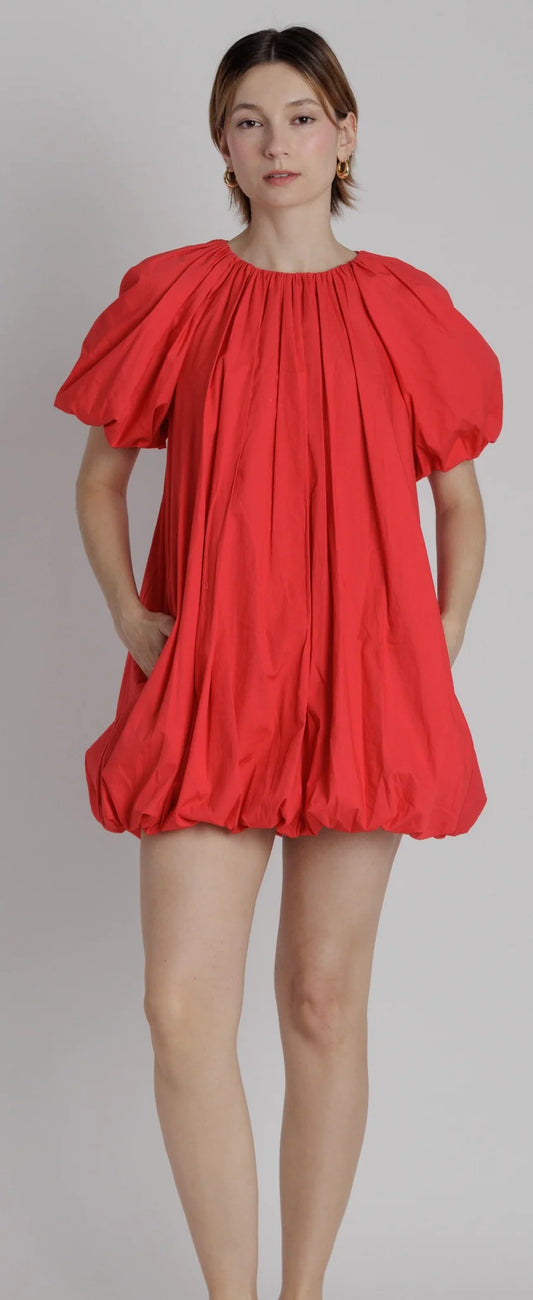 Dneida Mini Dress