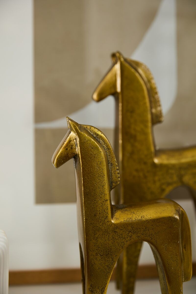 Arabian Horse