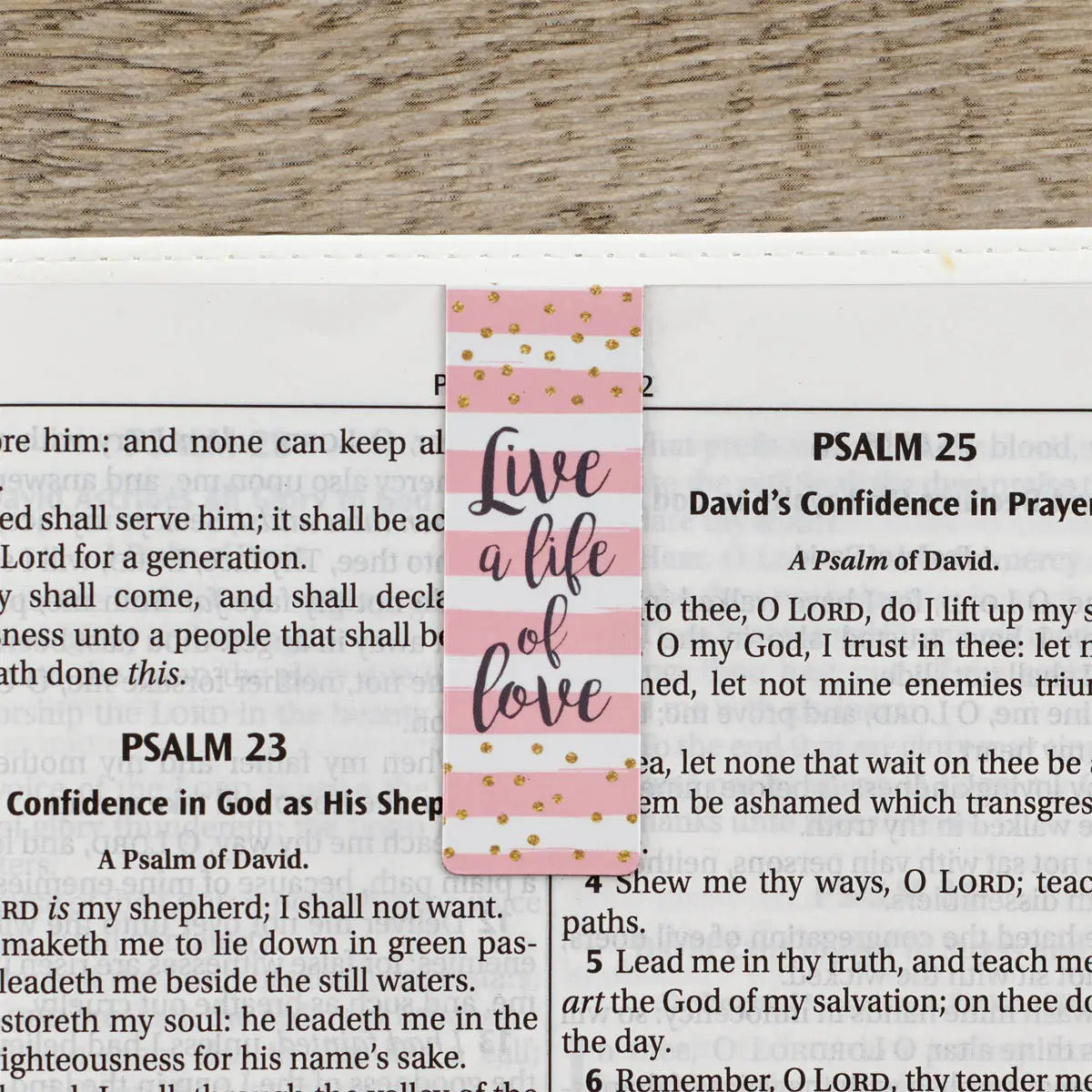 Magnetic Bookmark Set Sparkle Choose Joy Collection