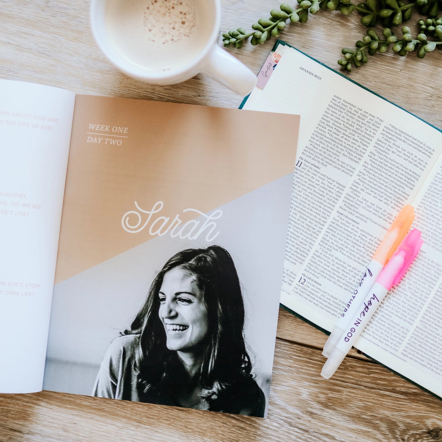 The Daily Grace Co Daughters of Grace Women of the Bible Study