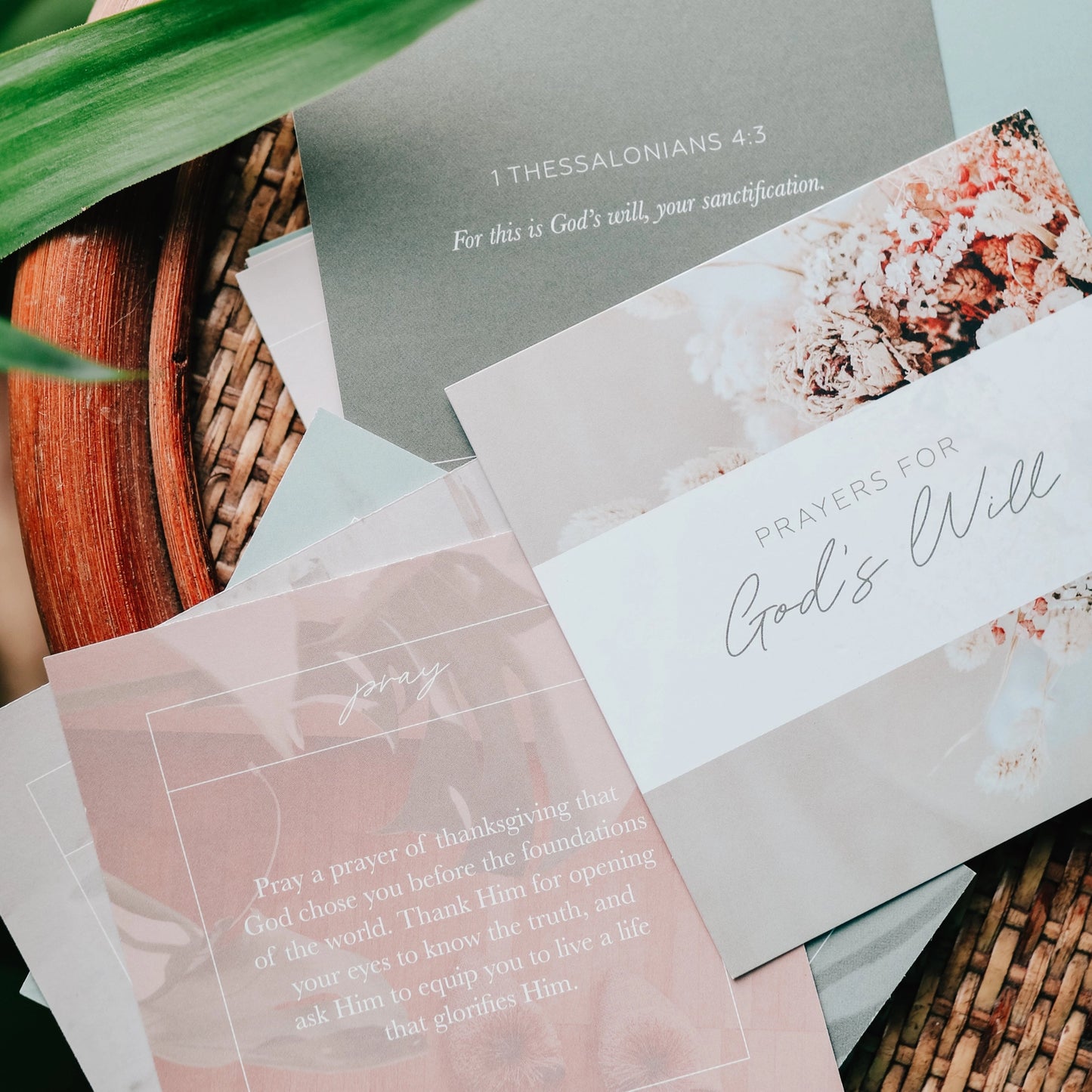 The Daily Grace Co Prayers For God's Will Verse Card Set
