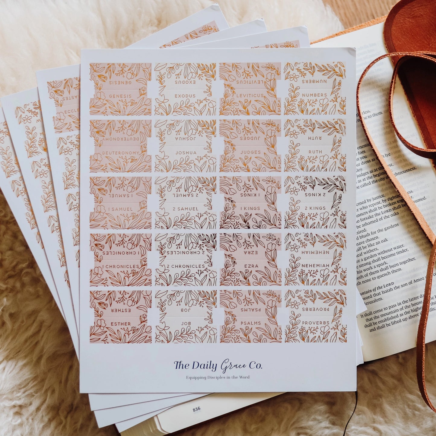 The Daily Grace Co Gold Foil Bible Tabs Dusty Pink