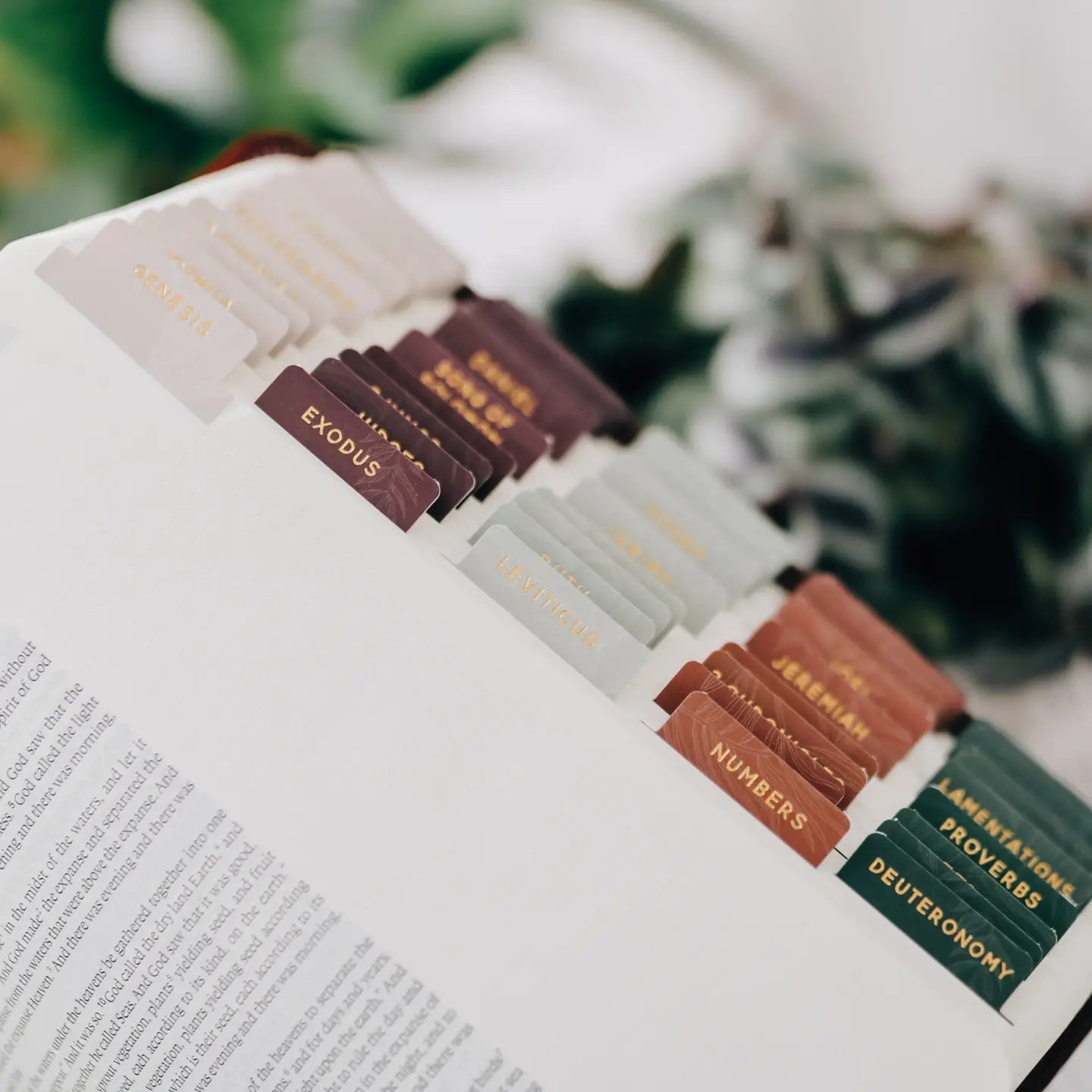 The Daily Grace Co Jewel Tone Bible Tabs