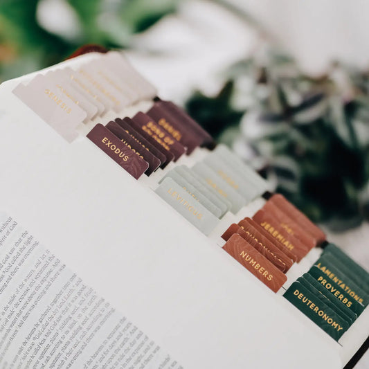 The Daily Grace Co Jewel Tone Bible Tabs