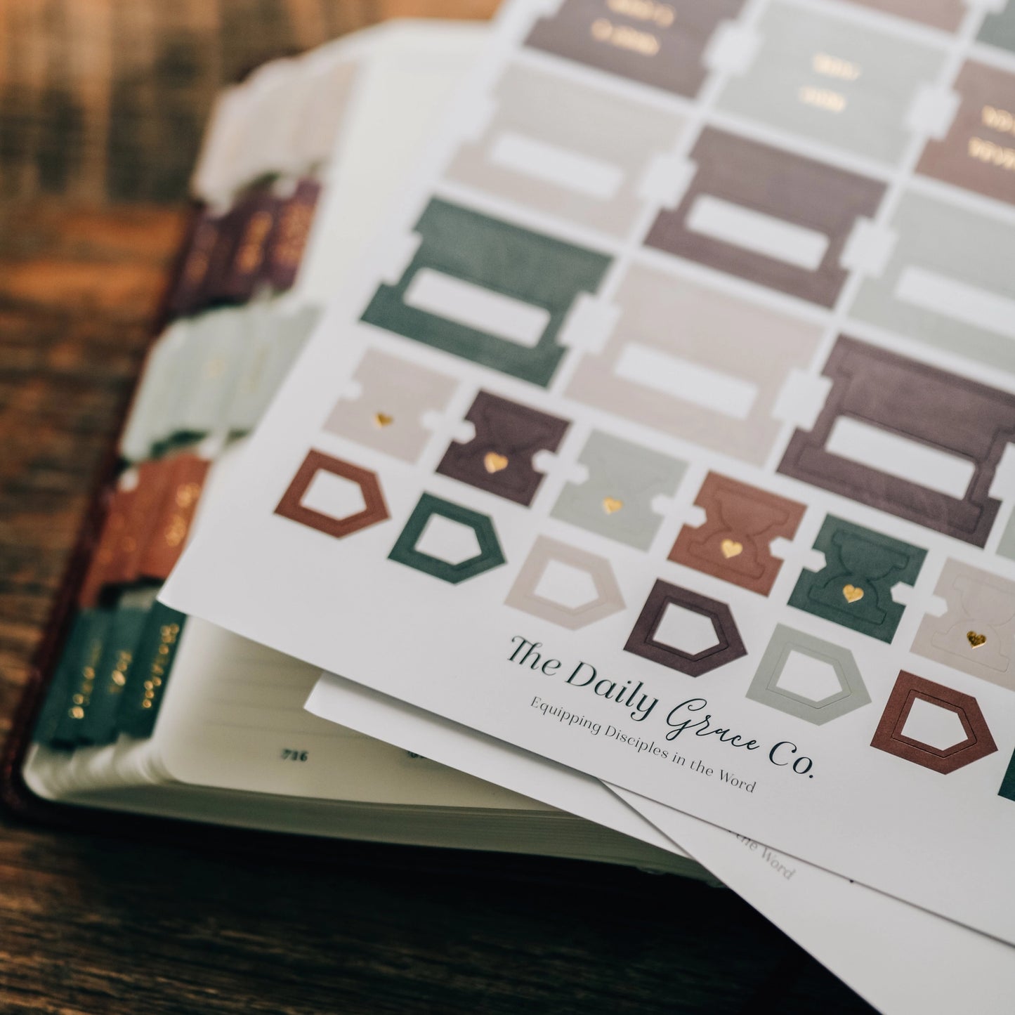 The Daily Grace Co Jewel Tone Bible Tabs