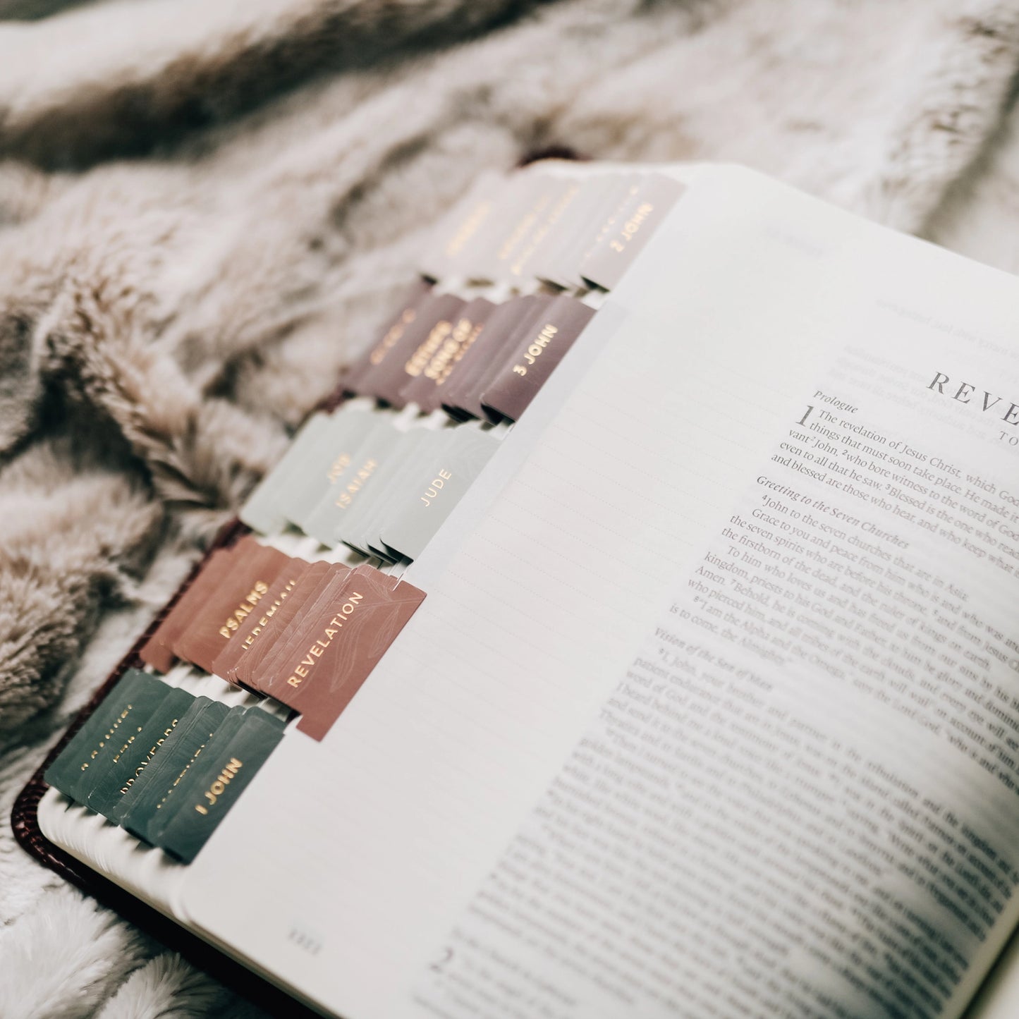 The Daily Grace Co Jewel Tone Bible Tabs