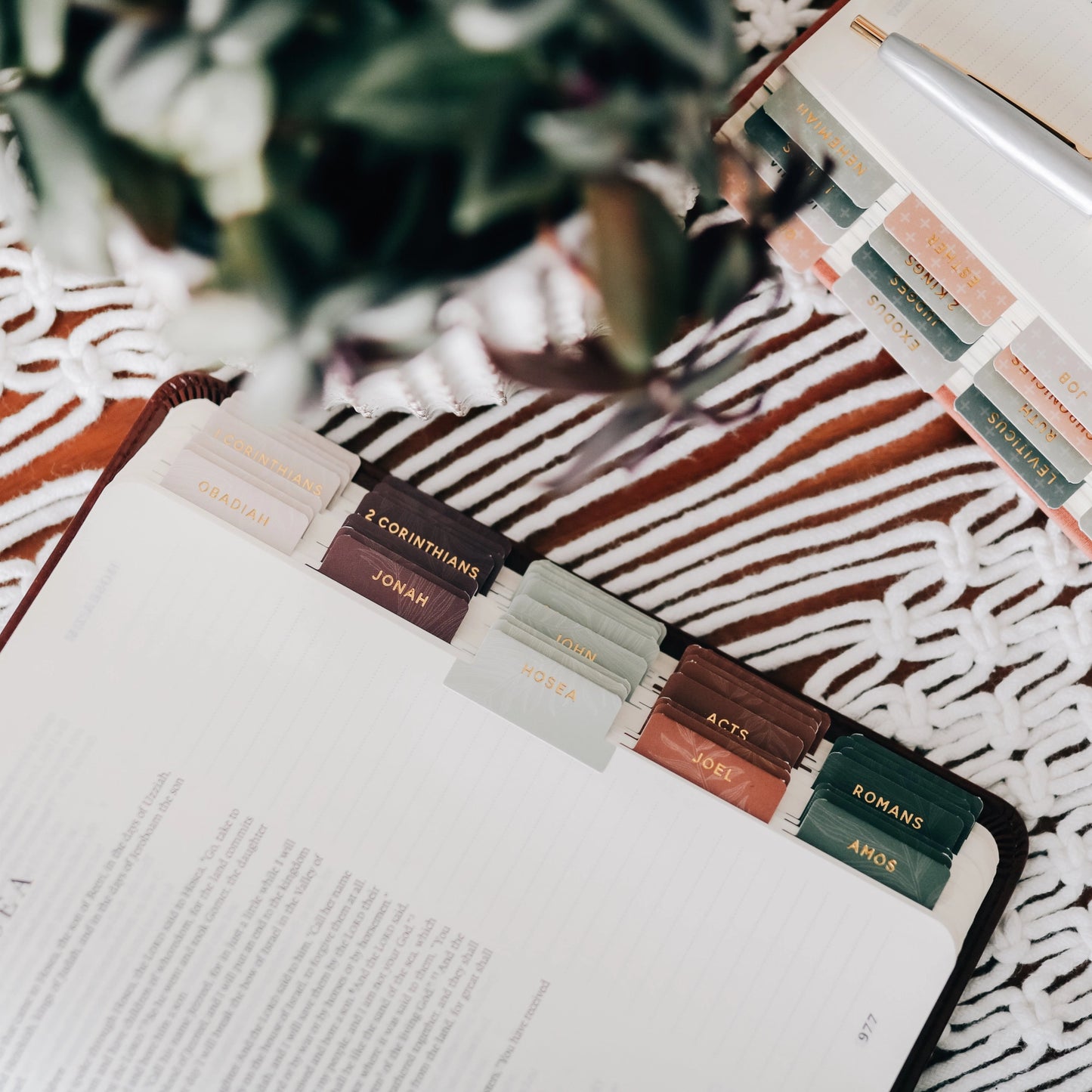 The Daily Grace Co Jewel Tone Bible Tabs