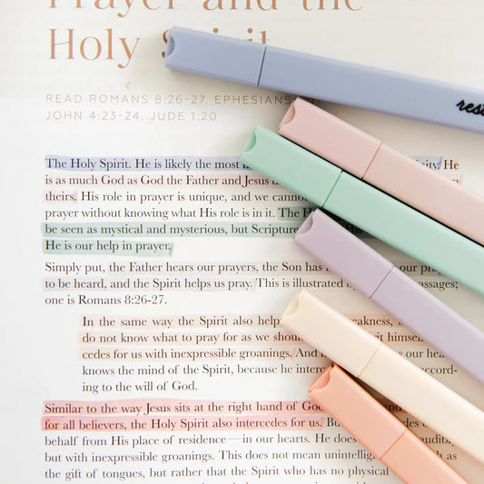 The Daily Grace Co Muted Pastel Highlighters