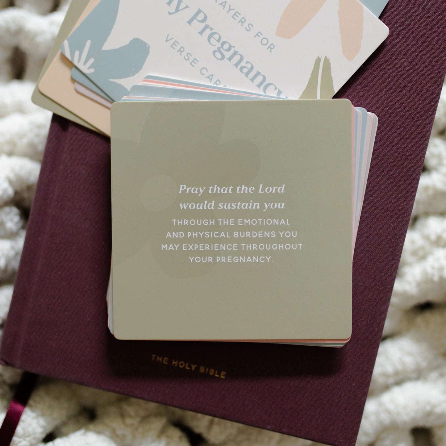 The Daily Grace Co Prayers For My Pregnancy Verse Cards
