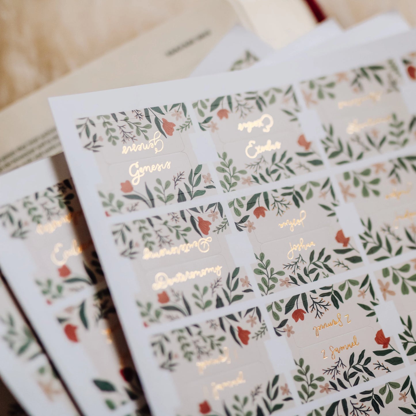 The Daily Grace Co Rust Floral Bible Tabs