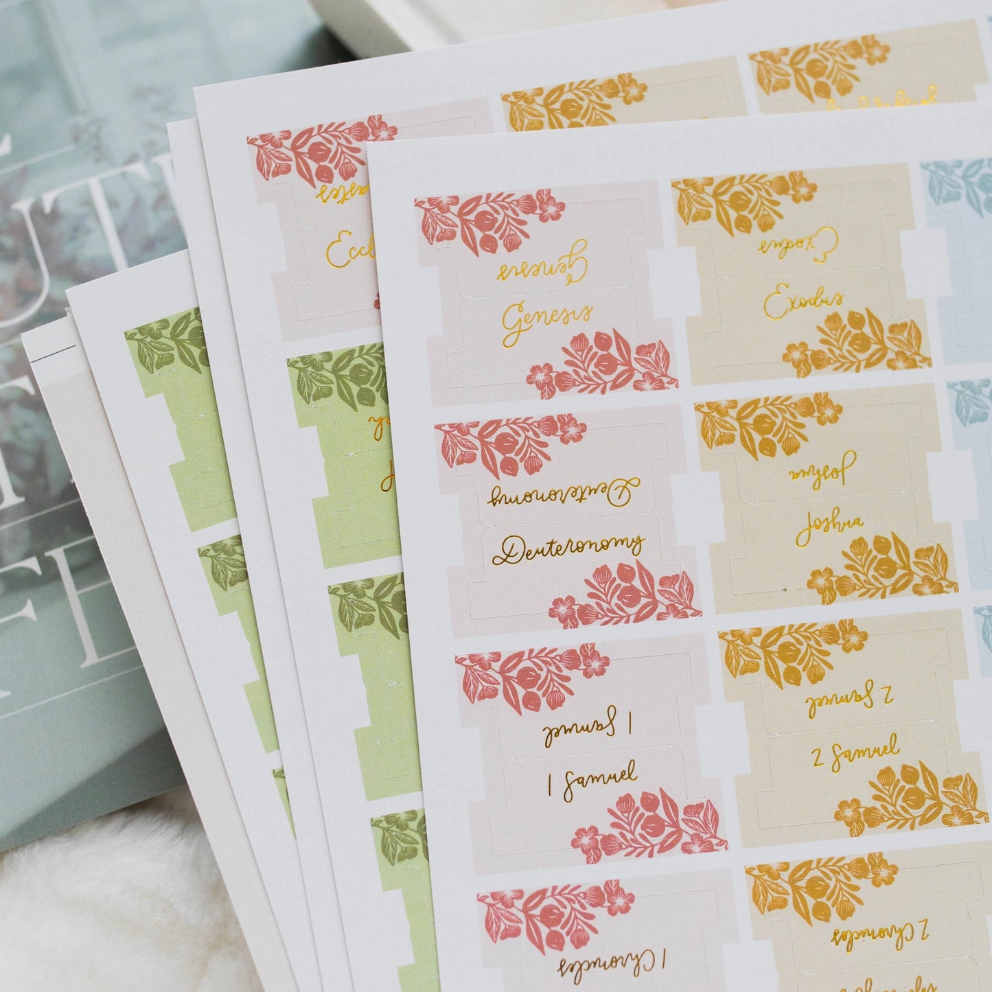 The Daily Grace Co Sprigs Bible Tabs