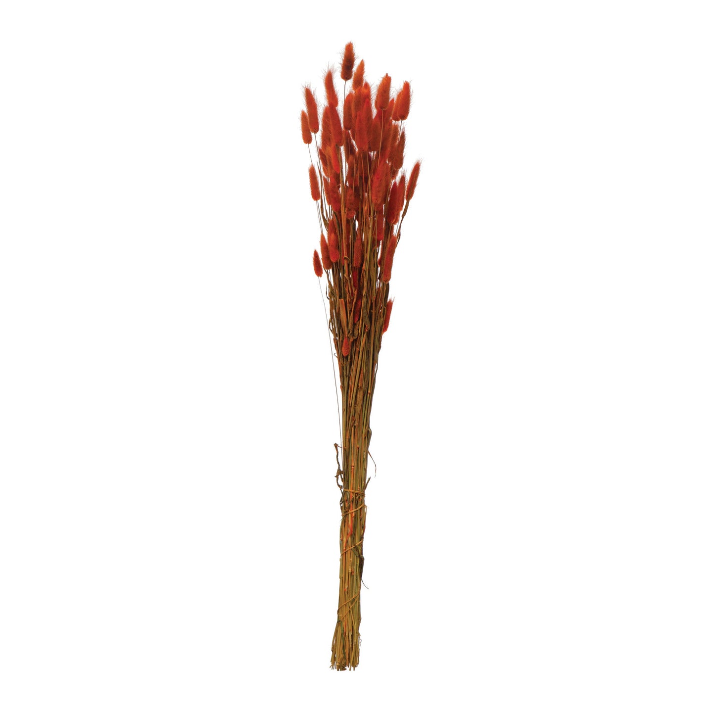 Dried Natural Bunny Tail Bunch, Coral Color