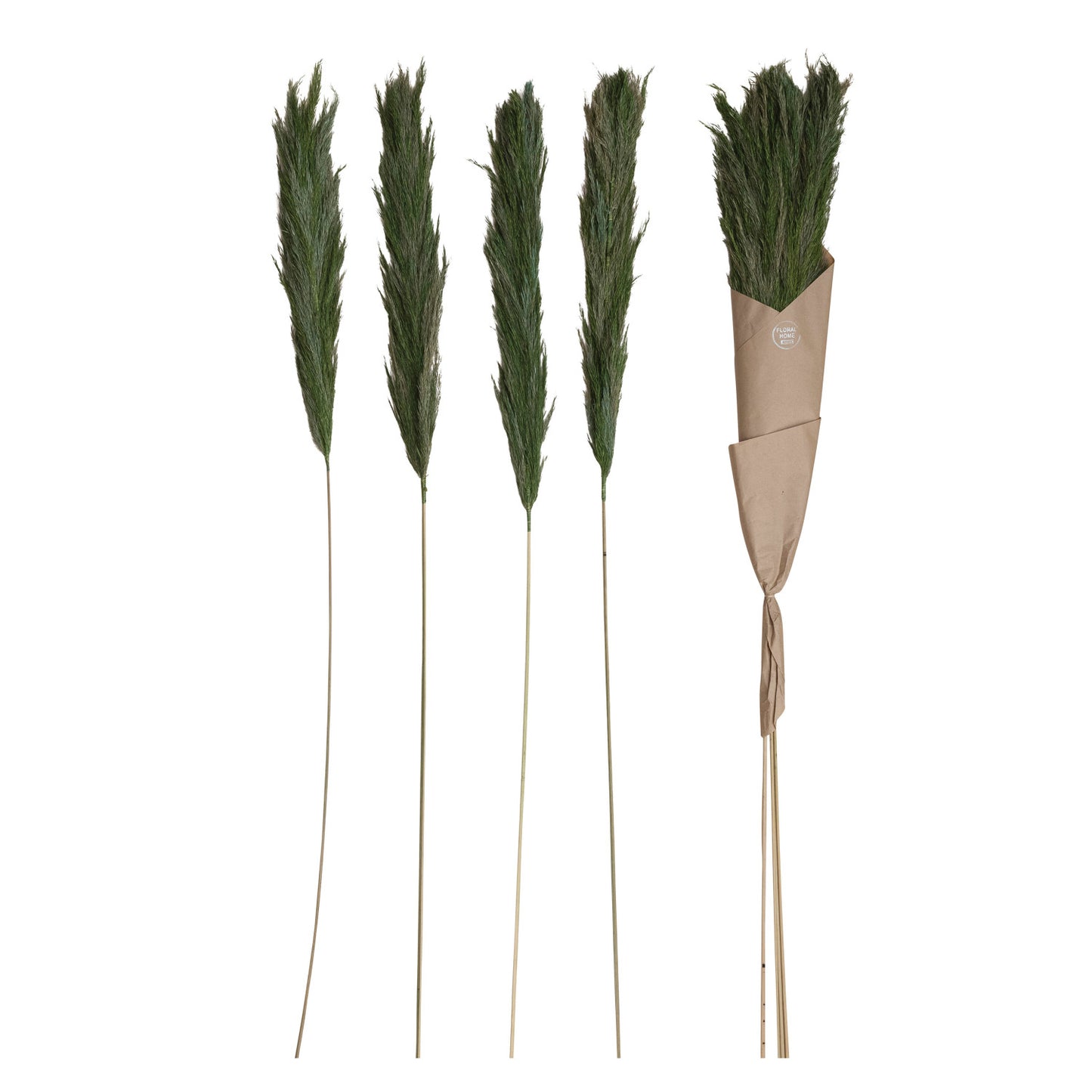 Dried Natural Velvet Grass Bunch, Green.