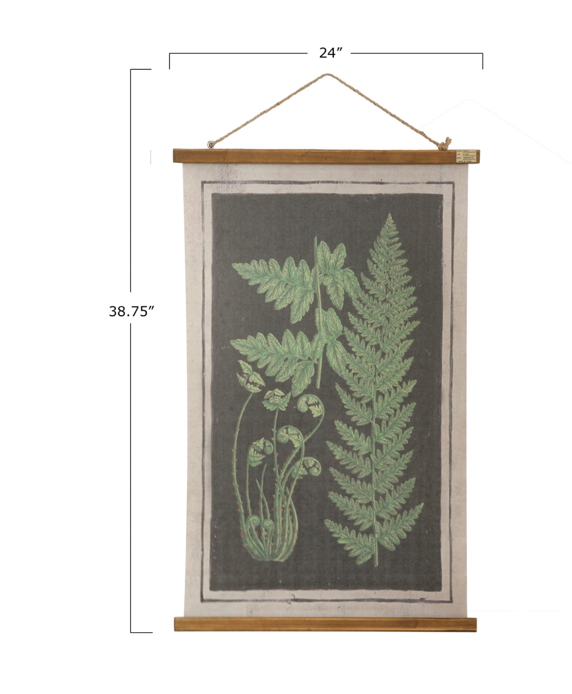 Scroll Wall Decor with Fronds and Hanger, 2 Styles