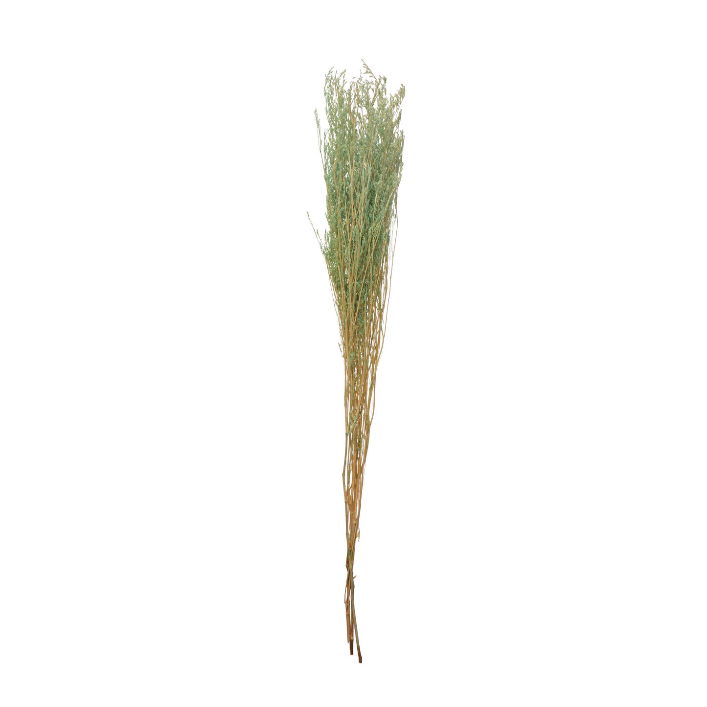 Dried Natural Love Grass Bunch, Mint Color