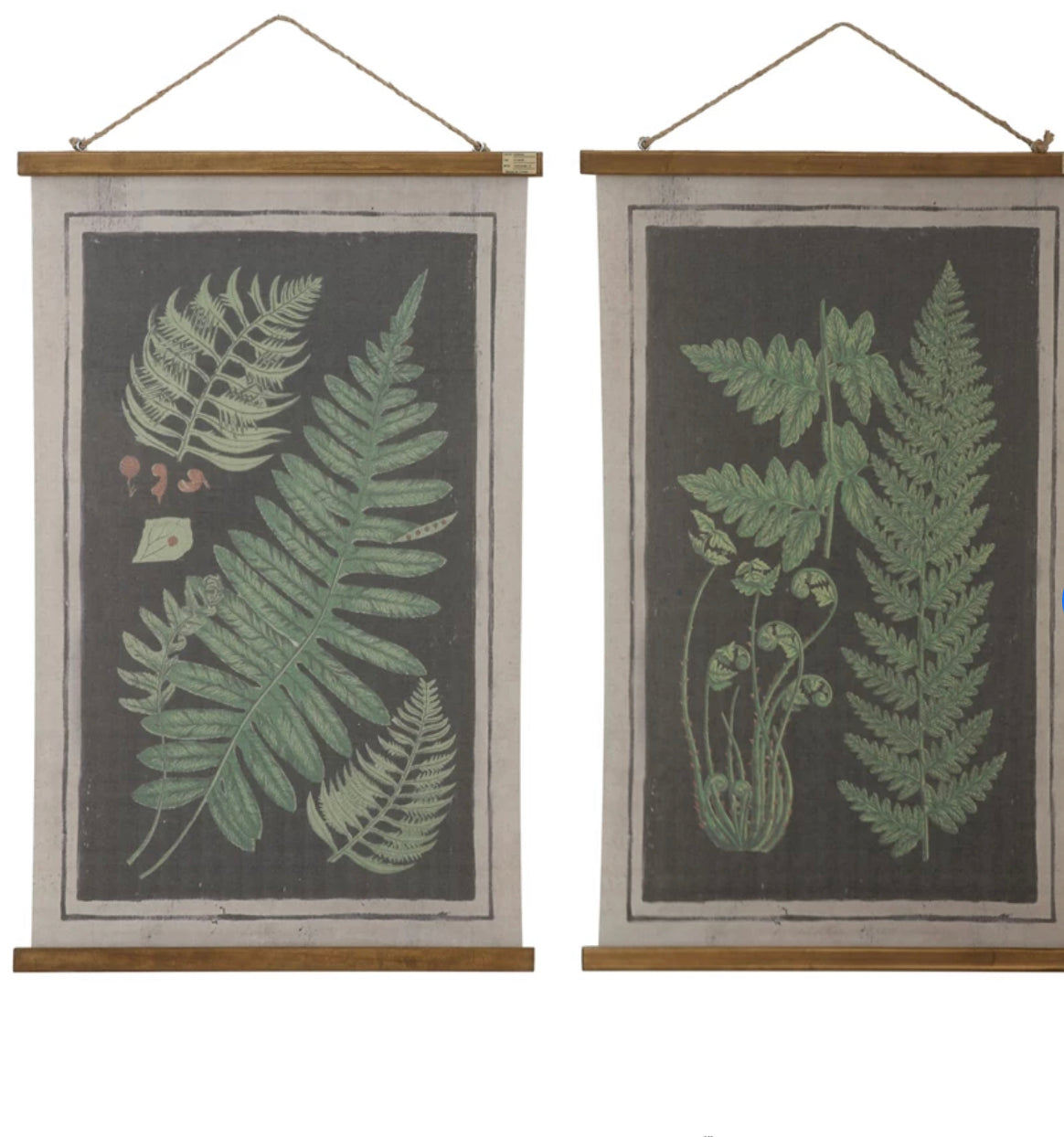 Scroll Wall Decor with Fronds and Hanger, 2 Styles